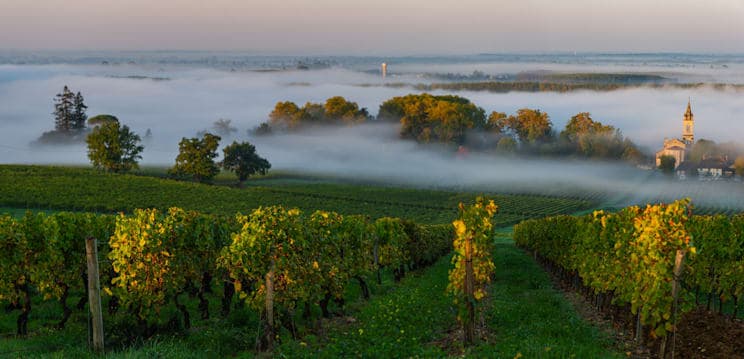 Saint-Emilion