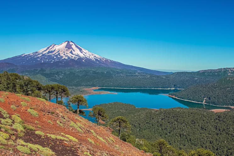 Llaima: Nationalpark