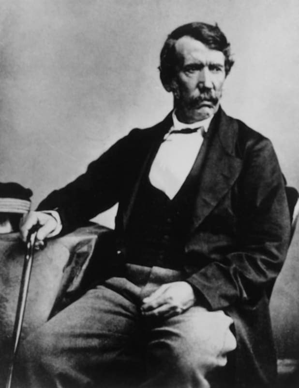 Livingstone, David