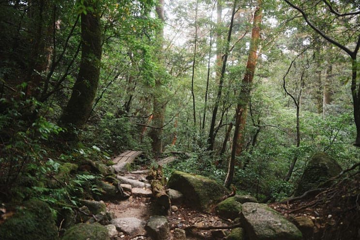 Yakushima