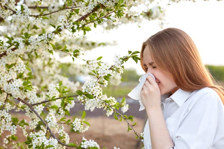 Pollenallergie