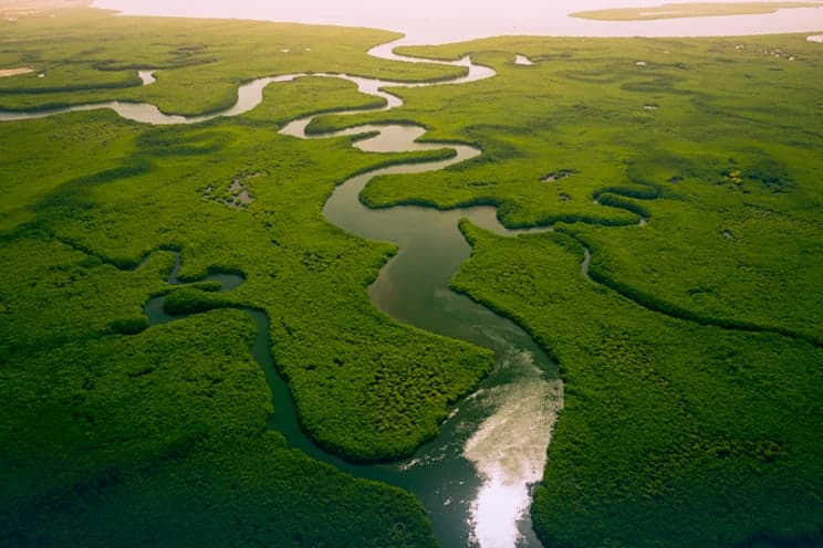 Afrika: Der Fluss Gambia