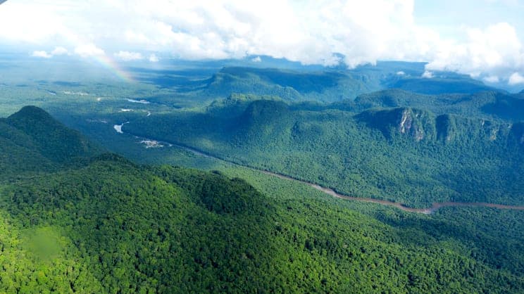 Guyana: Regenwald