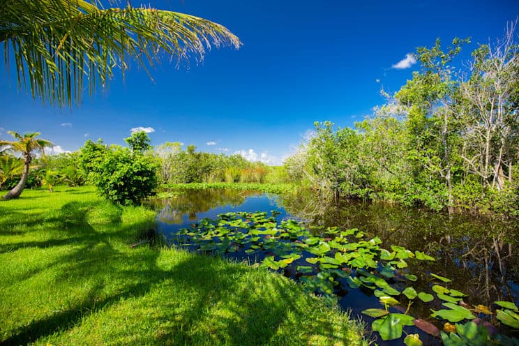 Everglades